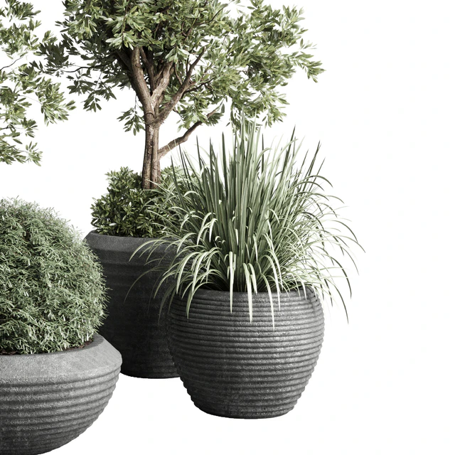 Collection indoor outdoor plant 120 plant tree grass vase dirty concrete — Descargar