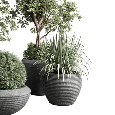Collection indoor outdoor plant 120 plant tree grass vase dirty concrete — Ver 2