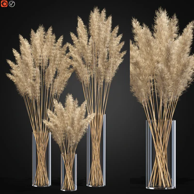 Decorative Pampas — Ver 1