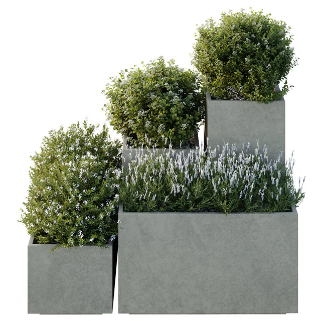 HQ Tree and bush garden box outdoor VOL 51 — Descargar