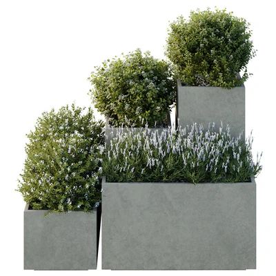 HQ Tree and bush garden box outdoor VOL 51 — Ver 2