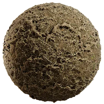 grass dried 014 — Descargar