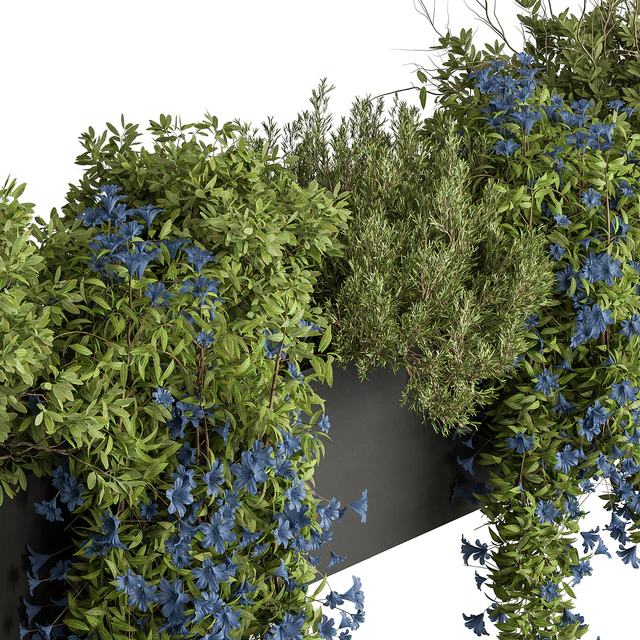 Hanging Plant - Outdoor Plants 503 — Descargar