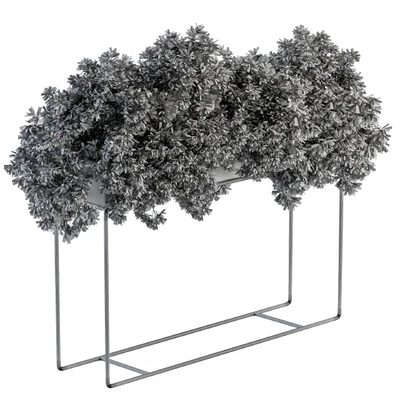 Black Box Plants on stand - Set 80 — Ver 2