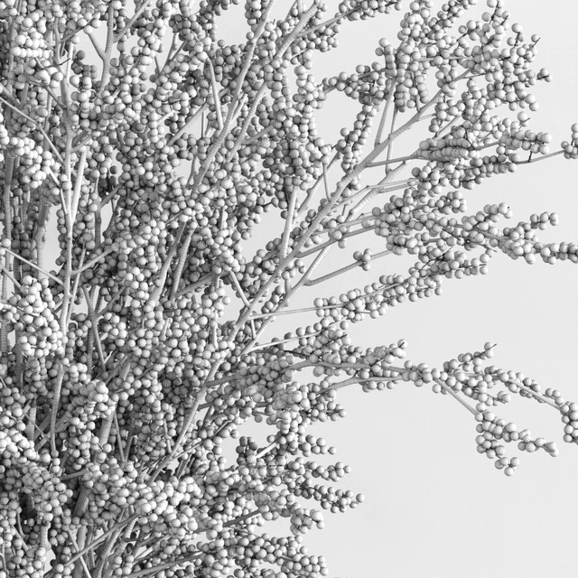 Winterberry Set 1 — Скачать