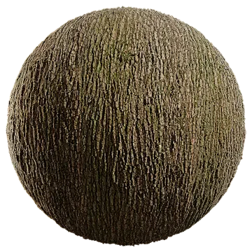 oak bark 004 — Скачать