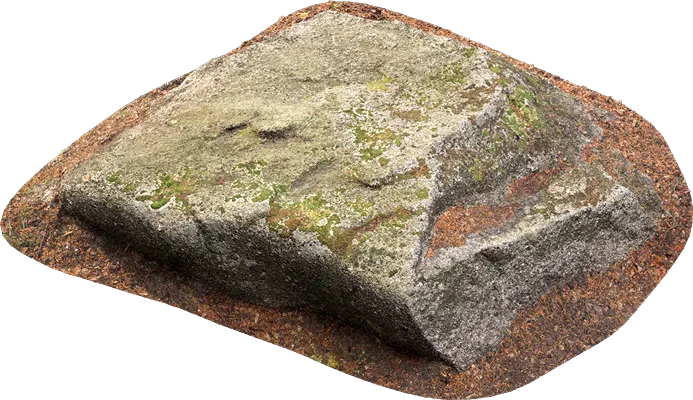 mossy forest boulder 014 — Descargar