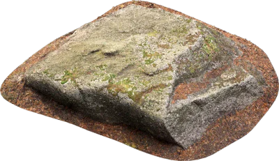 mossy forest boulder 014 — Descargar