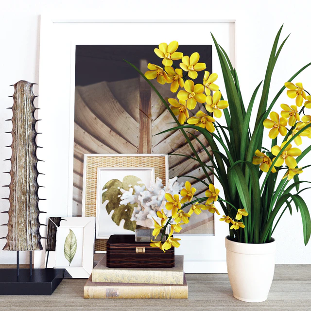 Decoration set Cymbidium Orchid — Скачать