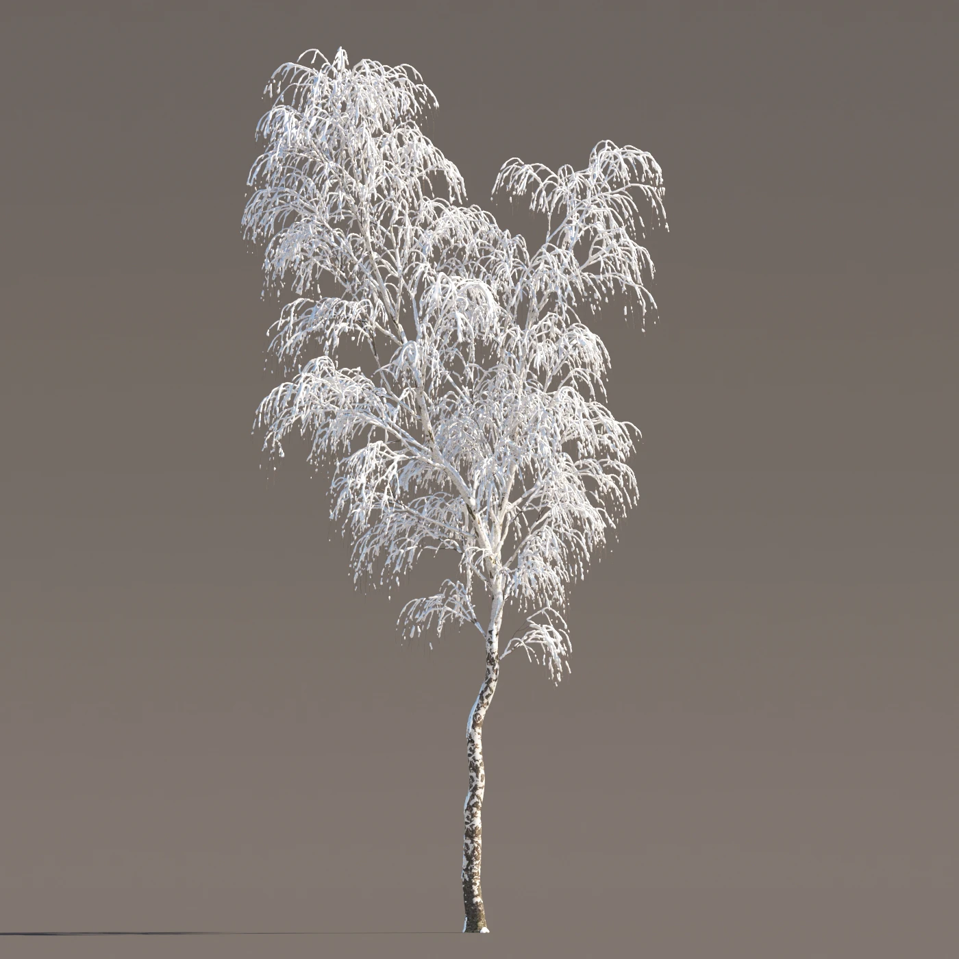 044 winter — Descargar