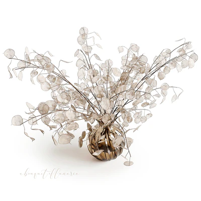 A bouquet of lunaria — Вид 2
