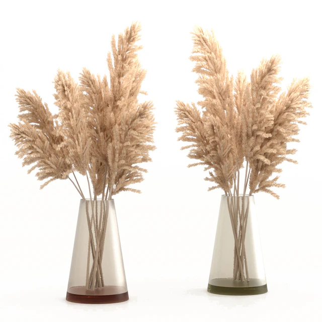 Bouquet of pampas grass — Download