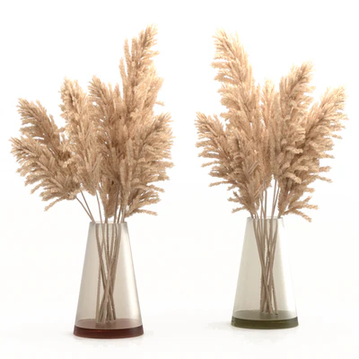 Bouquet of pampas grass — View 1