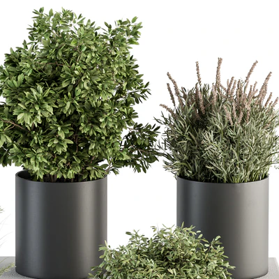 indoor Plant Set 305 - Small Plant pot — Ver 2