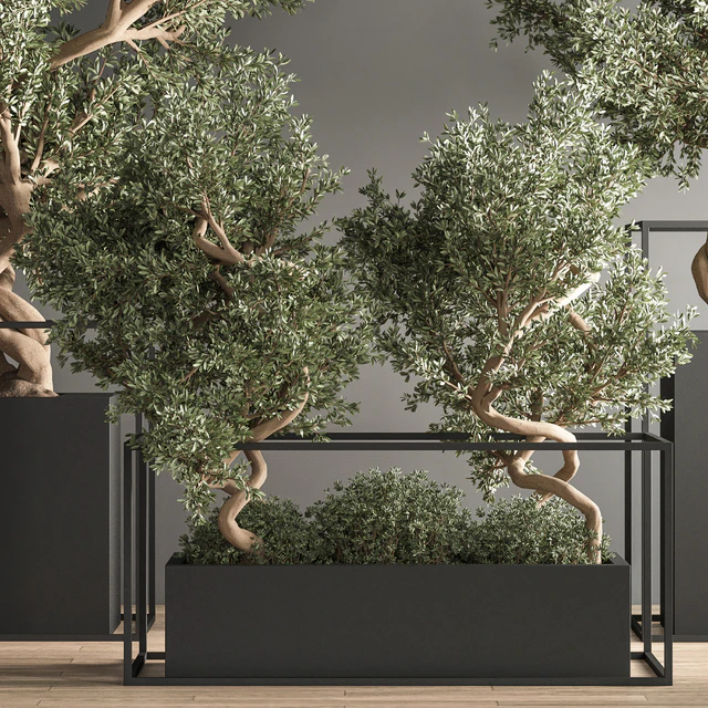 indoor plant bonsai set 24 — Descargar