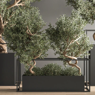 indoor plant bonsai set 24 — Ver 2