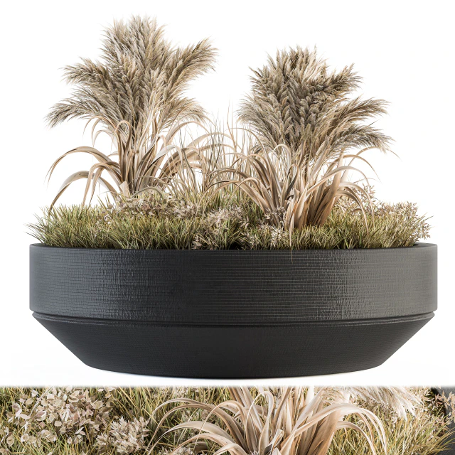 Outdoor Plants tree in Concrete Pot - Set 147 — Скачать