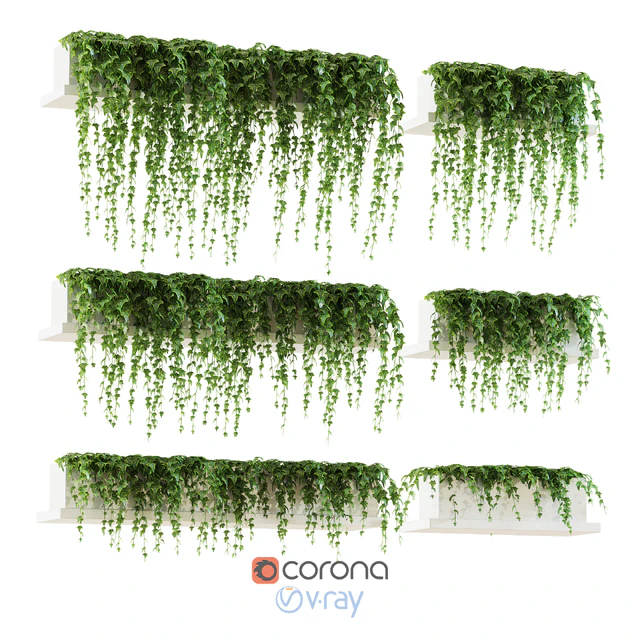 Ivy for shelves — Download