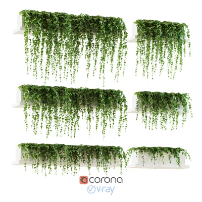 Ivy for shelves — View 1