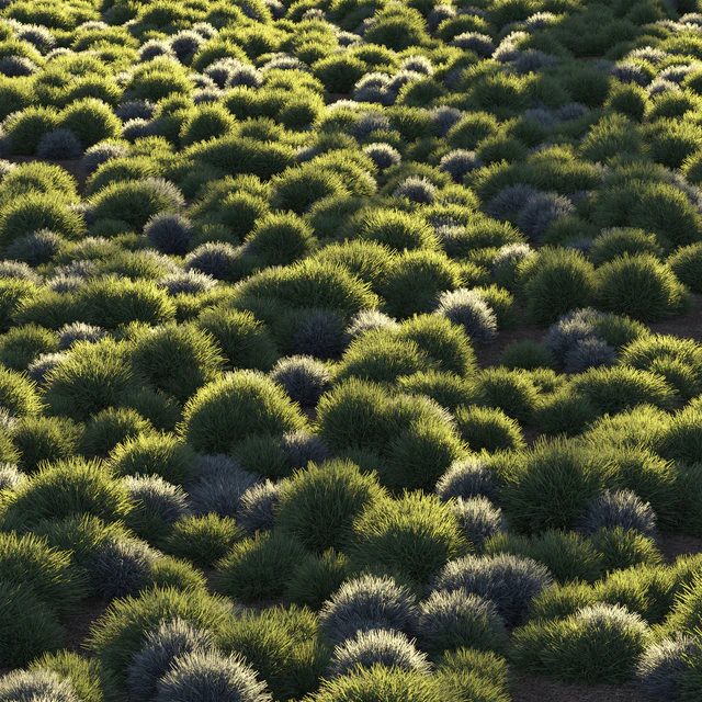 Round grass — Скачать