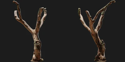 tree 004 — download