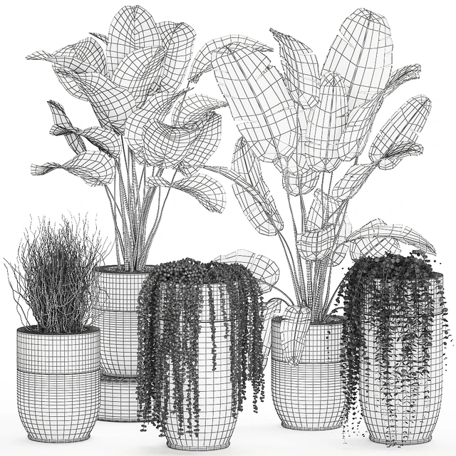 Collection of plants in gold pots Godwin Longhi with hanging, Banana, calathea, Krestovnik, Strelitzia. Set 706. — Descargar