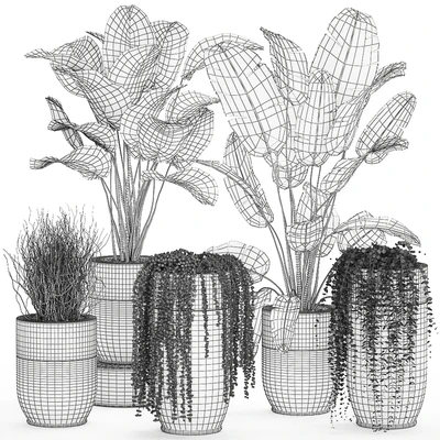 Collection of plants in gold pots Godwin Longhi with hanging, Banana, calathea, Krestovnik, Strelitzia. Set 706. — Ver 2