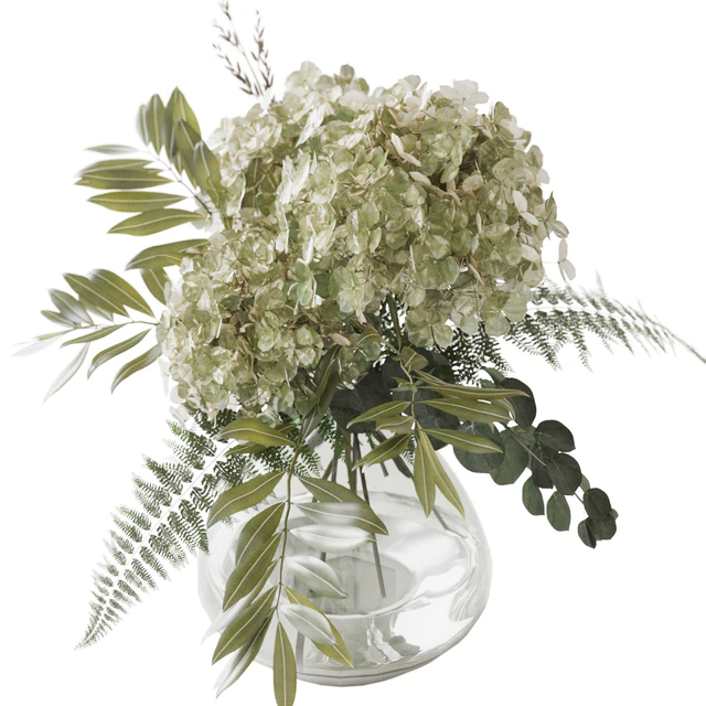 Green hydrangea — Descargar