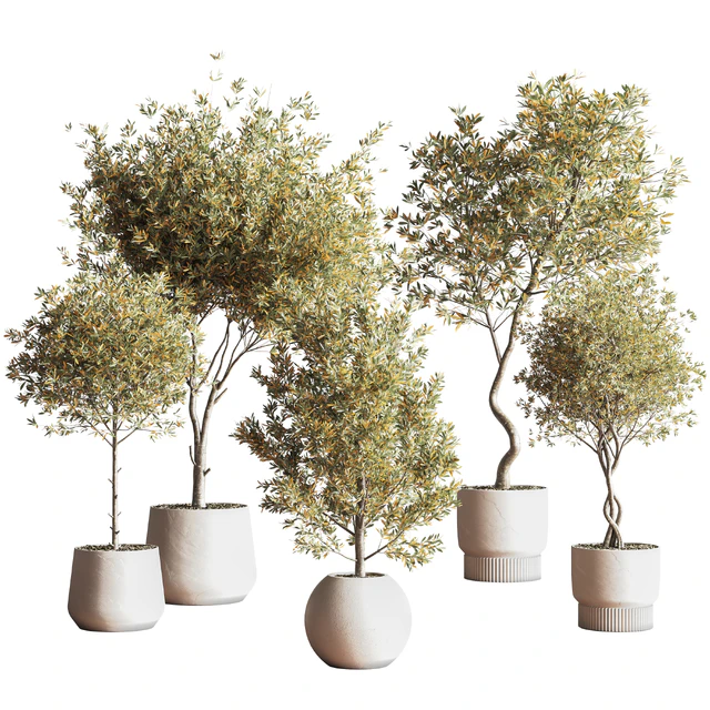 IndoorSetPlant054 — Descargar