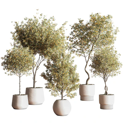 IndoorSetPlant054 — Ver 2