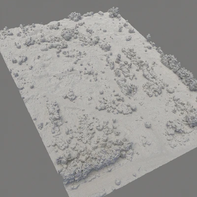 Forest 60 — Ver 2