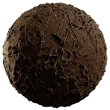 scarce grass on damp soil 009 — Скачать
