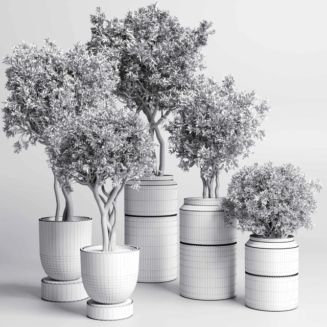 Collection Indoor plant 189 concrete dirt vase pot Tree — Descargar