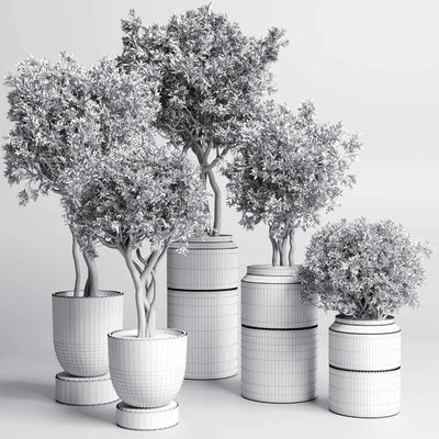 Collection Indoor plant 189 concrete dirt vase pot Tree — Ver 3