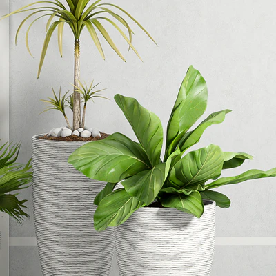 PLANT -34 — Ver 2