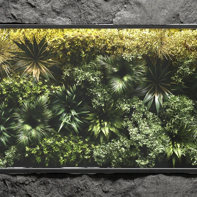 collection outdoor plant stand vertical garden wall glass box vase — Вид 2