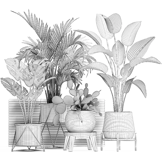 Collection of small plants in white modern pots with prickly pear cactus, banana palm, monstera, strelitzia. Set 448. — Descargar
