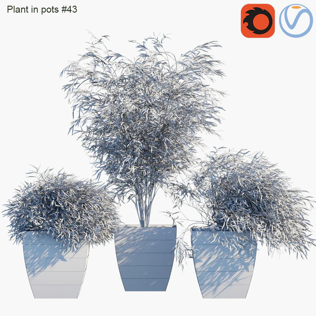 Plant in pots # 43: Palm and grass — Descargar