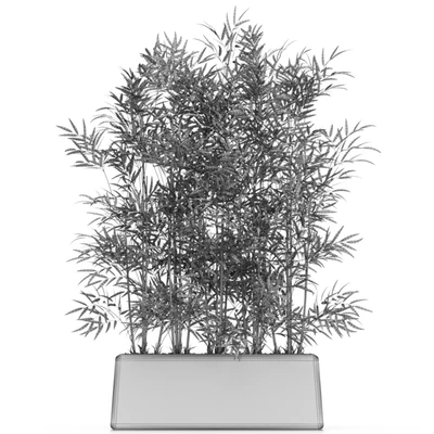 Plants collection 615 — Вид 2