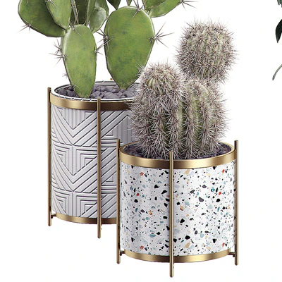 INTERIOR FLOWER PACK 19 - CACTUS. Part 3 — Ver 2