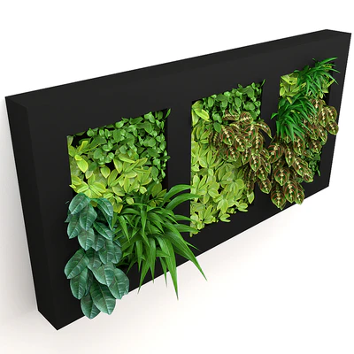 Vertical gardening — Вид 2
