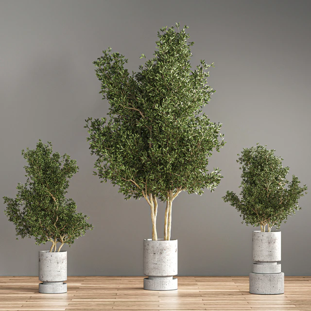 indoor plant set 14 — Скачать