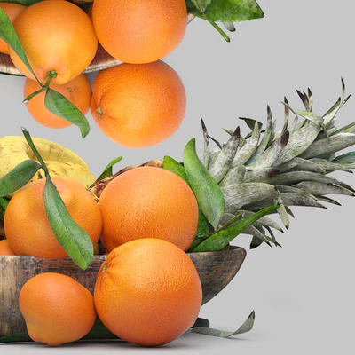 bowl of fruits — Ver 2