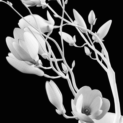 Magnolia Bouquet — Вид 2