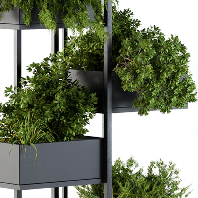Black Box Plants on stand 03 — Ver 2