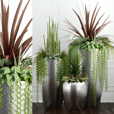Room plants 12 — Ver 1