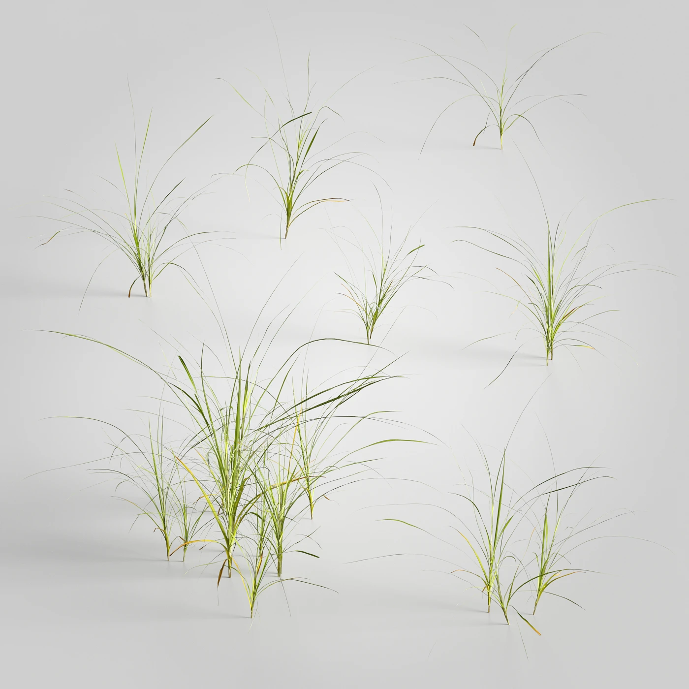 plants and weeds 011 — Скачать