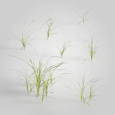 plants and weeds 011 — Скачать