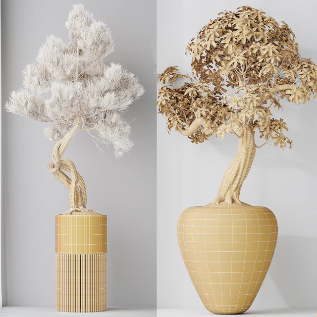 Indoor plant set 23 — Descargar