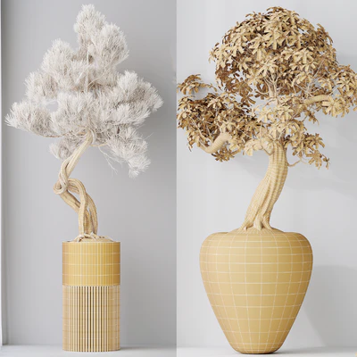 Indoor plant set 23 — Ver 2